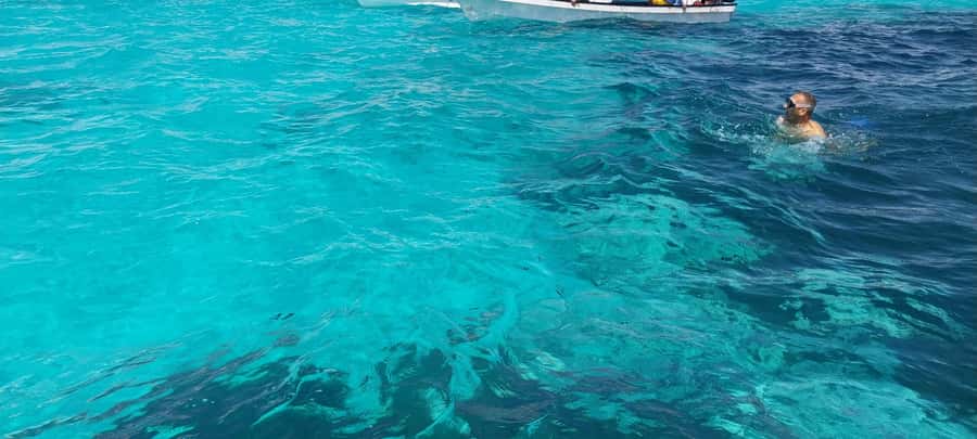 Zanzibar: Mnemba Island Dolphin and Snorkeling Tour - Sandbanks, fresh fruit, and the private island question