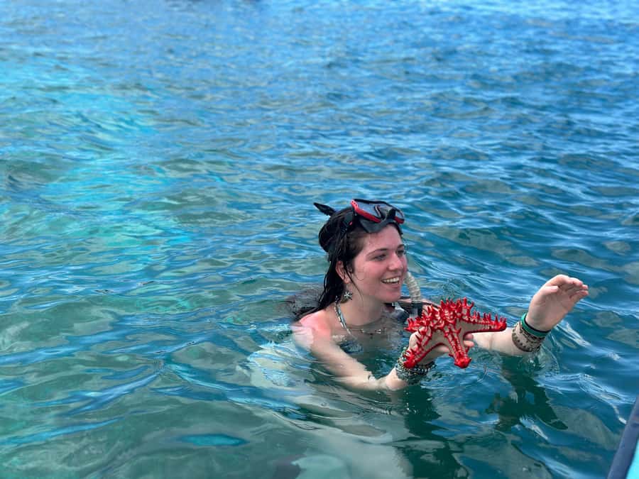 Zanzibar: Mnemba Island Dolphin and Snorkeling Tour - Who will enjoy this outing most
