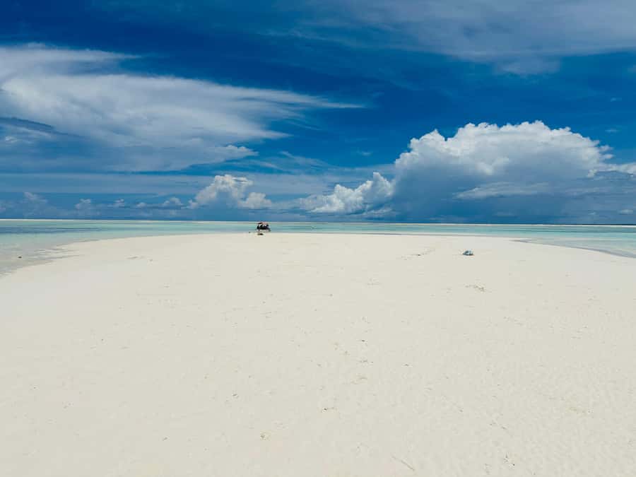 Zanzibar: Mnemba Island Dolphin and Snorkeling Tour - Should you book the Mnemba tour?