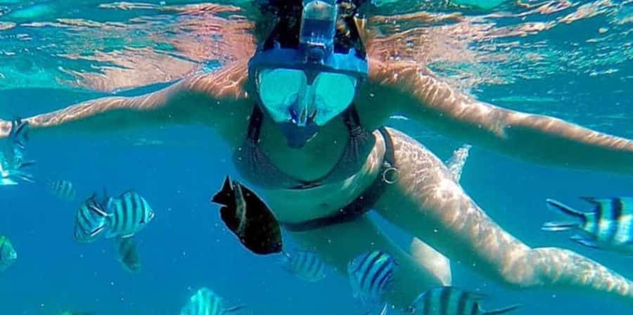 Zanzibar: Mnemba Island&Dolphin Swim With Optional Lunch - Optional lunch and the cost question