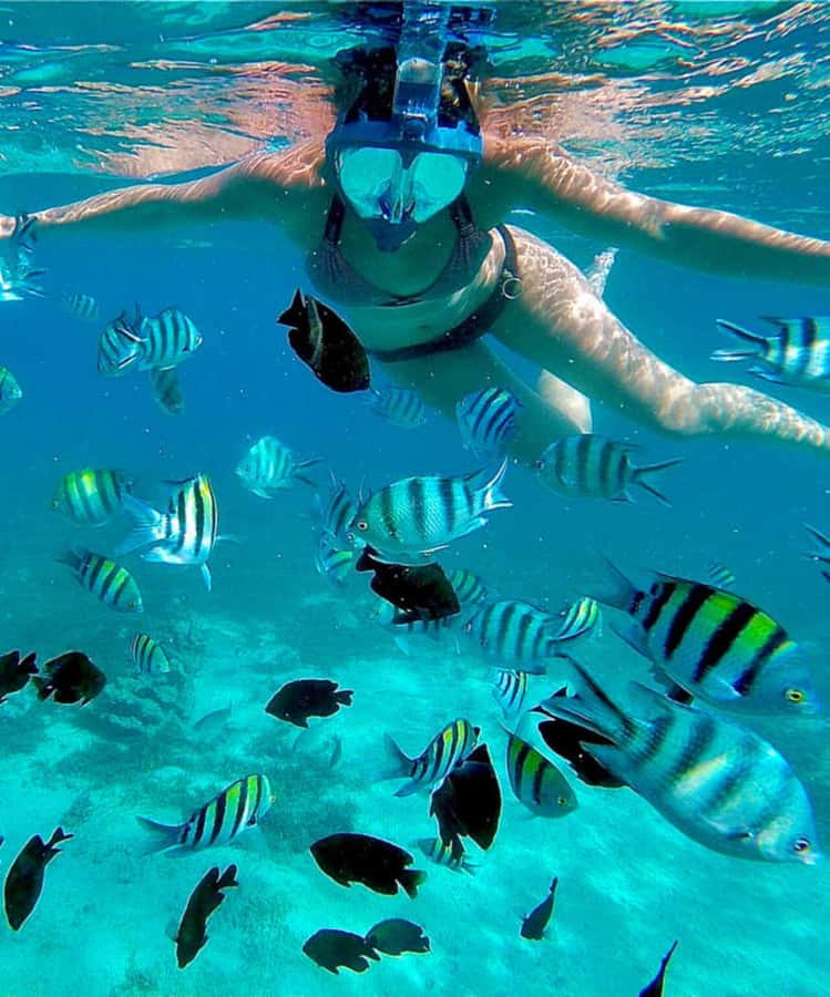 Zanzibar: Mnemba Island & Jozani Forest Tour with Turtles - Food, guides, and the details that affect value