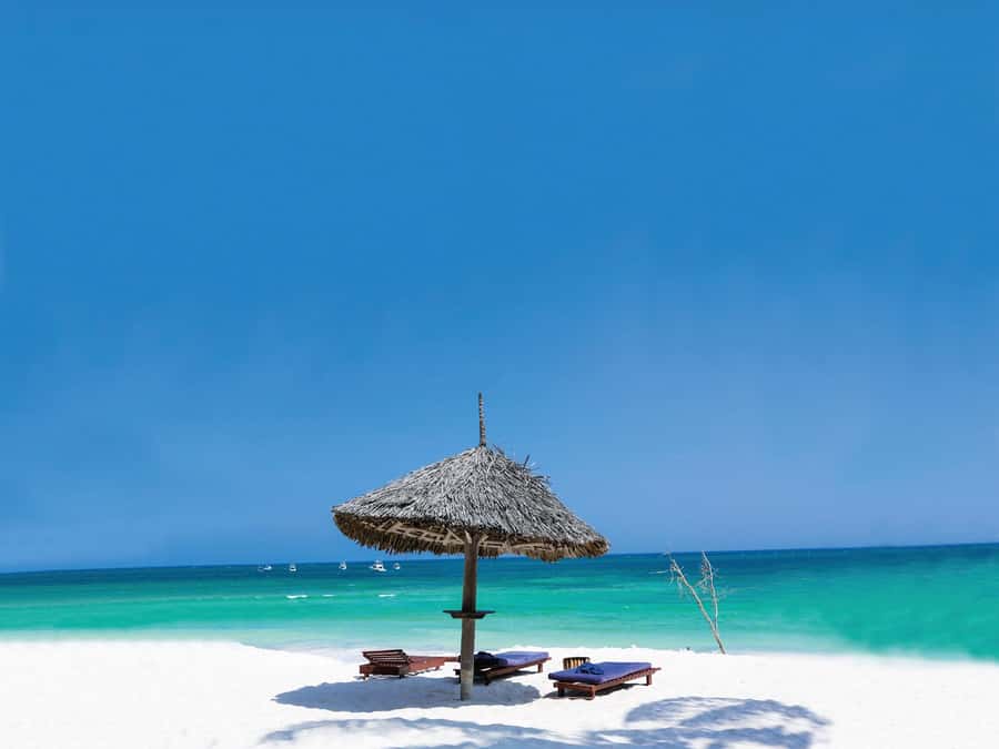 Zanzibar: Mnemba Island, Monkeys & Kuza Cave Private Tour - Does $130 per person feel fair?