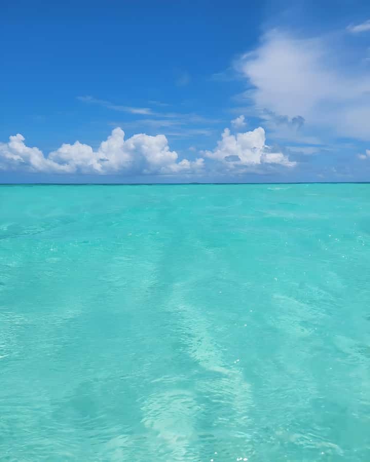 Zanzibar: Mnemba Island Snorkeling and Dolphin Tour - The Mnemba sandbank and its changing shoreline