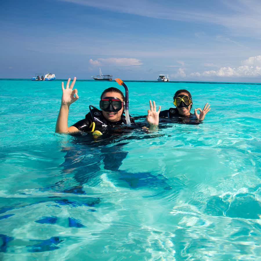 Zanzibar: Mnemba Island Snorkeling and Dolphin Tour - Seafood lunch at a local beach restaurant