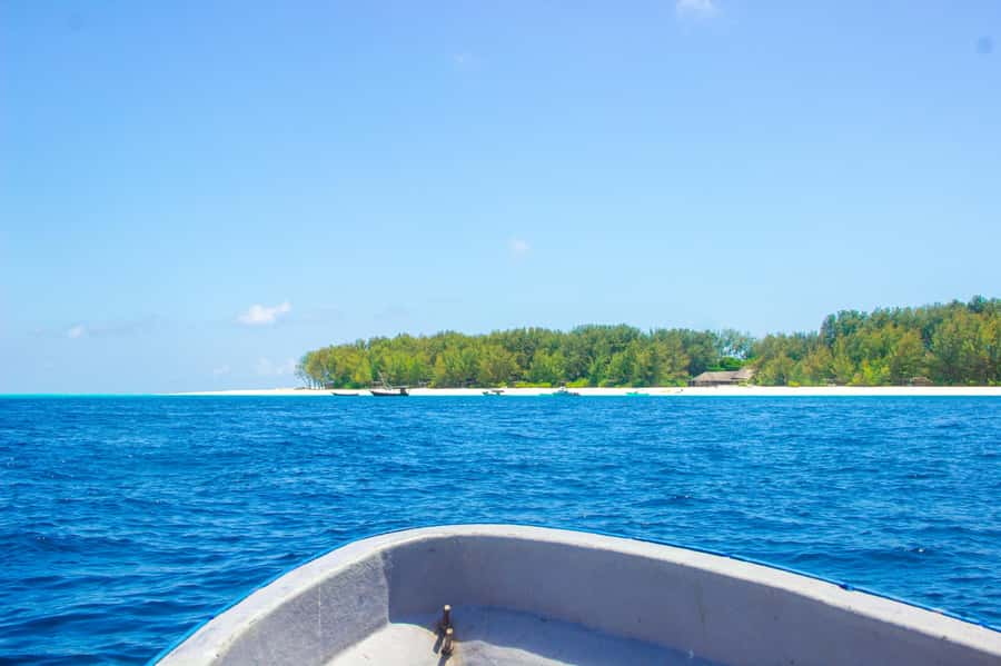 Zanzibar: Mnemba island Snorkeling & Boat Tour with Lunch - Who should book this experience?