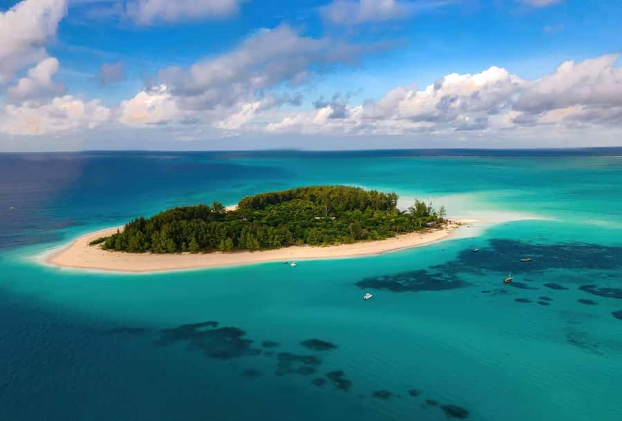 Zanzibar Mnemba island snorkling & swim with turtles Tour - Key points to know before booking