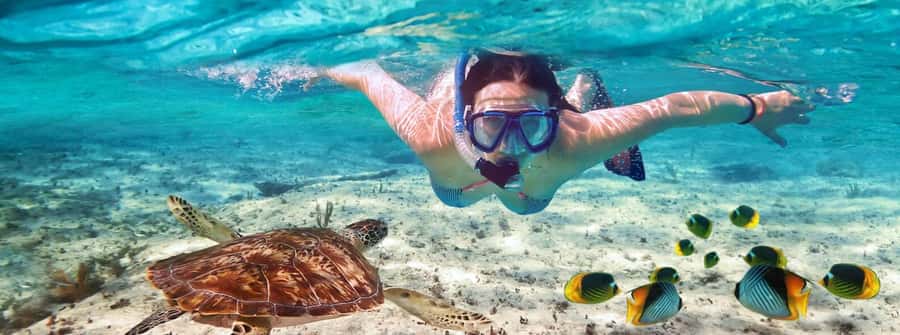 Zanzibar Mnemba island snorkling & swim with turtles Tour - Three hours around Mnemba Island