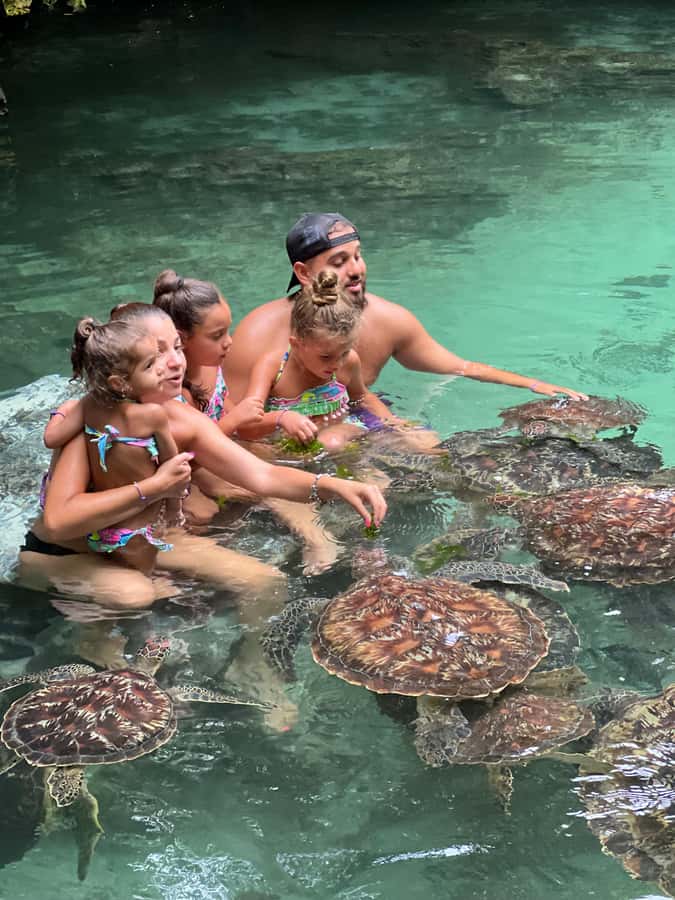 Zanzibar Mnemba island snorkling & swim with turtles Tour - What the boat portion is like