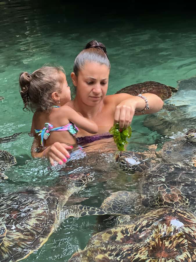 Zanzibar Mnemba island snorkling & swim with turtles Tour - The most praised practical touches