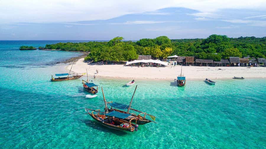Zanzibar Mnemba island snorkling & swim with turtles Tour - Setting out from your Zanzibar accommodation