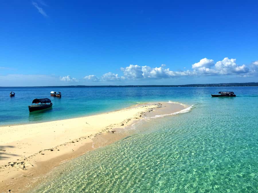 Zanzibar: Nakupenda Sandbank and Prison Island Tour & Lunch - Key points to know before booking