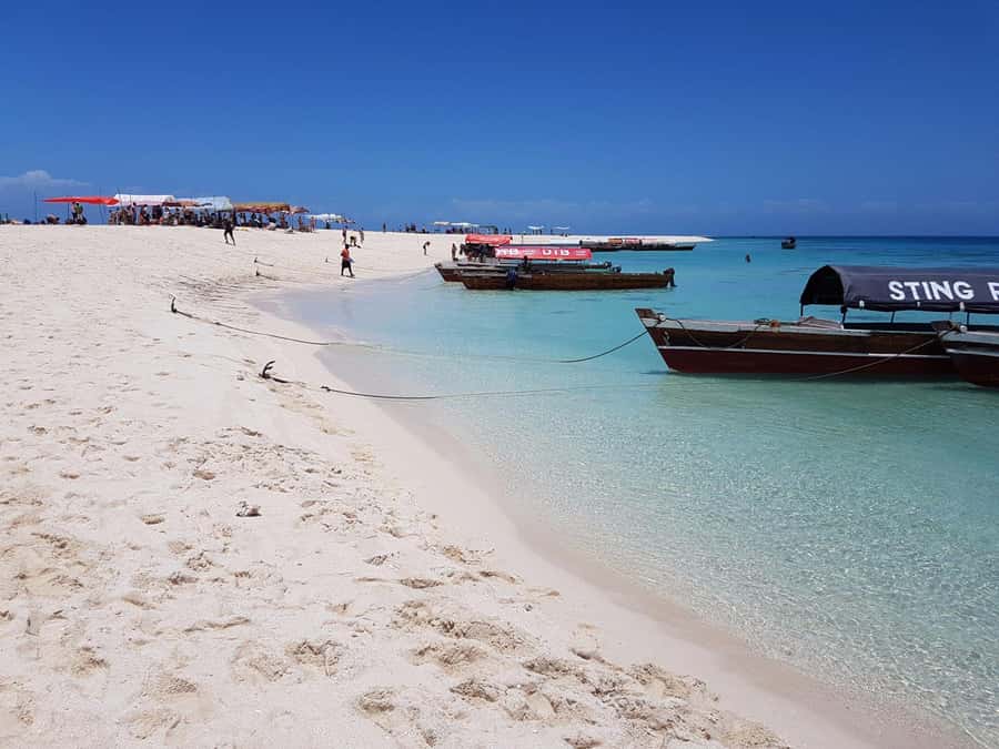 Zanzibar: Nakupenda Sandbank and Prison Island Tour & Lunch - Prison Island’s old cells and giant tortoises