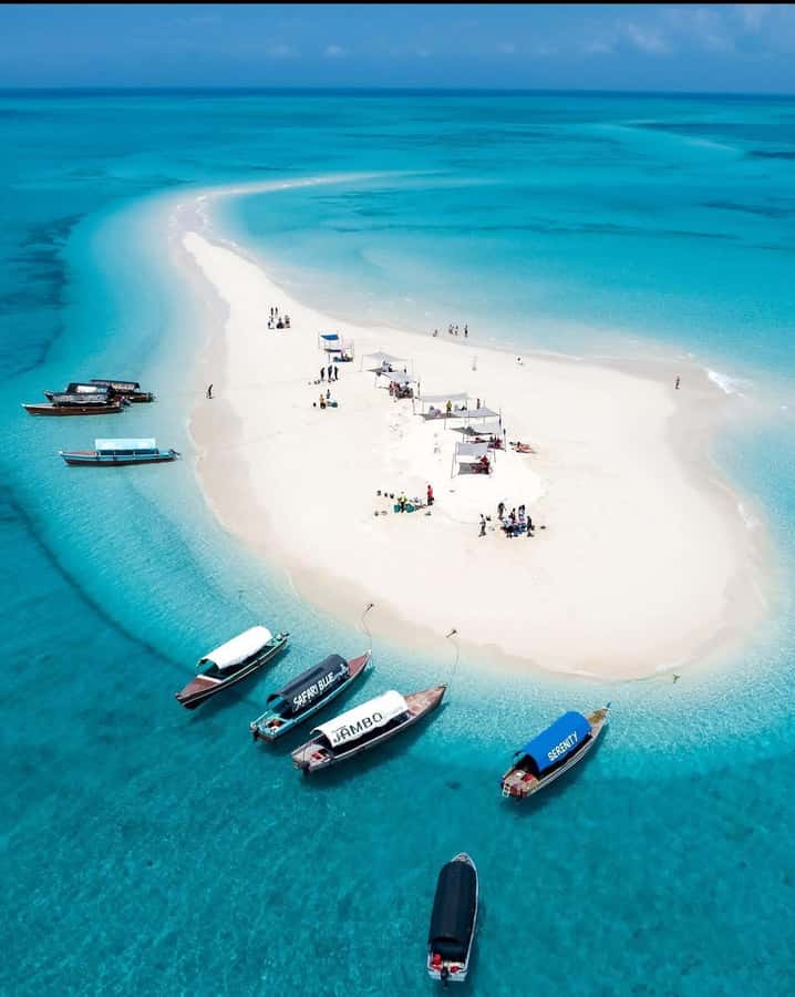 Zanzibar: Nakupenda Sandbank & Prison Island Trip with Lunch - Why this makes a good Zanzibar day trip