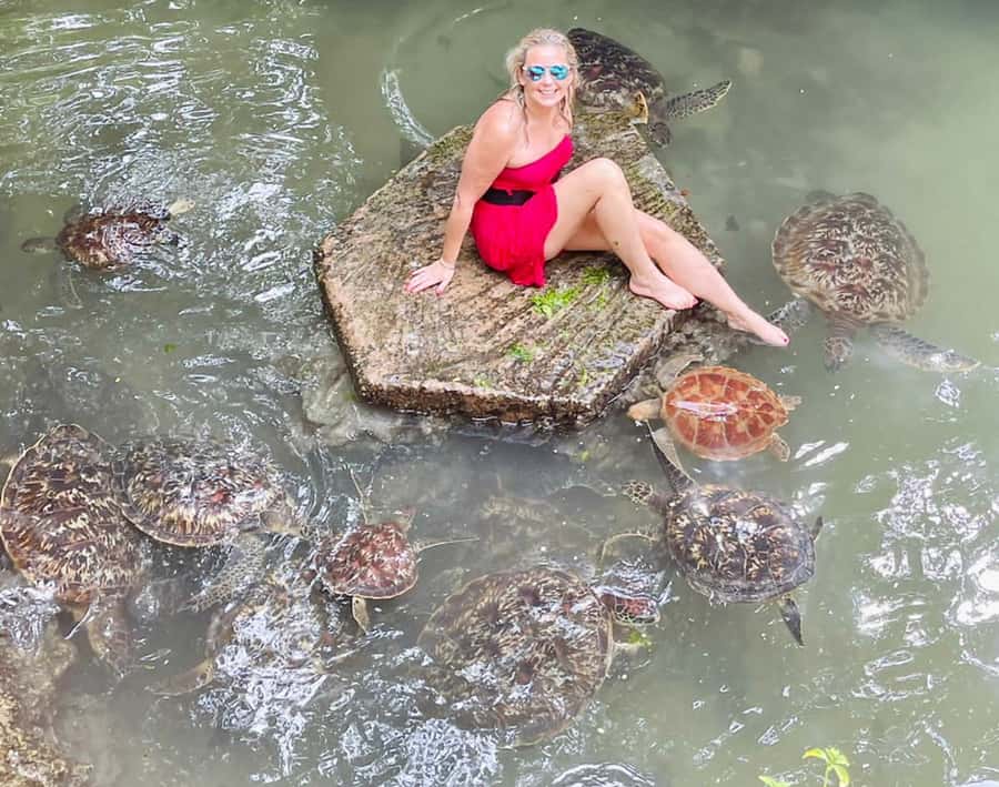 Zanzibar: North Coast and Turtle Sanctuary Tour - Key points to know before booking