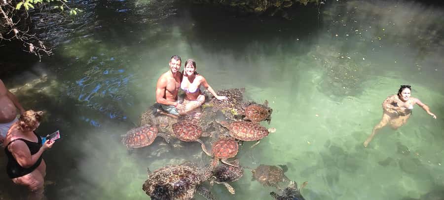 Zanzibar: North Coast and Turtle Sanctuary Tour - Why this north coast day works