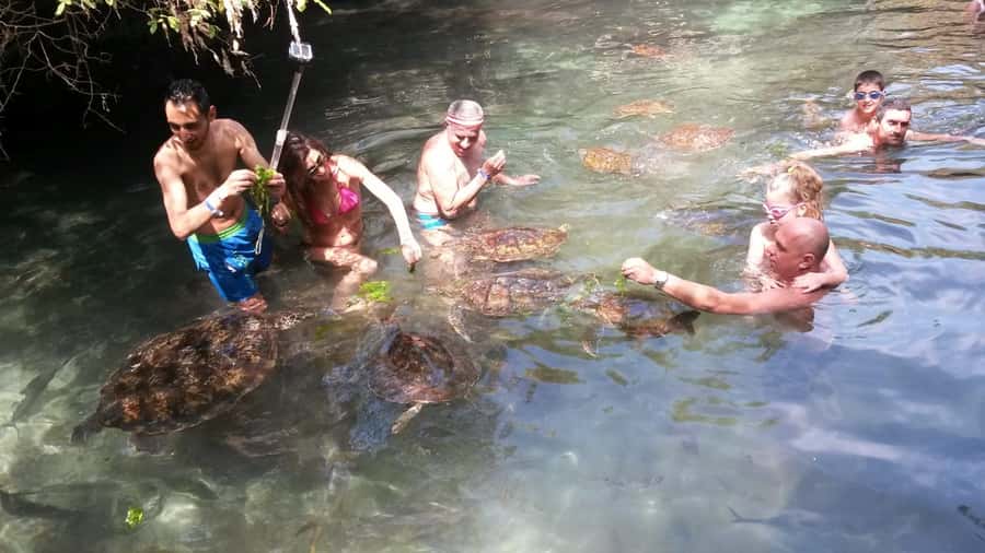 Zanzibar: North Coast and Turtle Sanctuary Tour - Lunch at a local restaurant