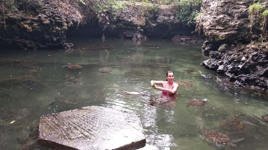 Zanzibar: North Coast and Turtle Sanctuary Tour - How the turtle visit may feel in practice