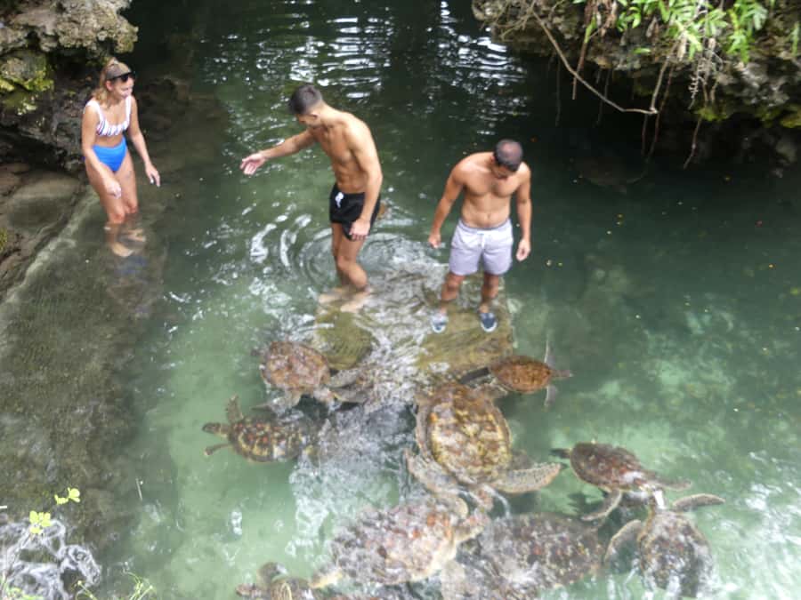 Zanzibar: North Coast and Turtle Sanctuary Tour - Is $112 per person good value?