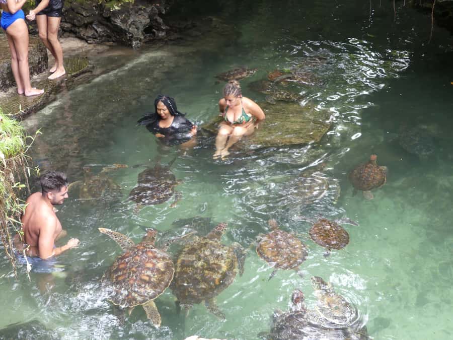 Zanzibar: North Coast and Turtle Sanctuary Tour - Who should book this Zanzibar tour?