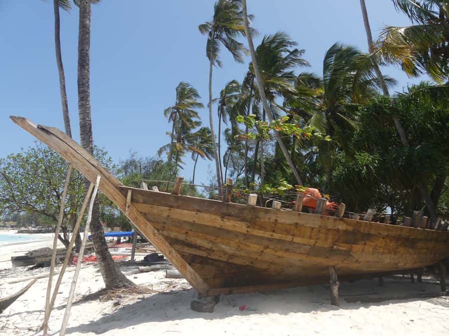 Zanzibar: North Coast and Turtle Sanctuary Tour - The drive to Nungwi and the value of a good guide