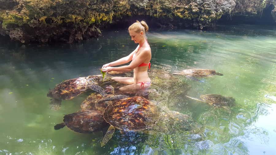 Zanzibar: Nungwi Turtle Aquarium Guided Half-Day Trip - Why Nungwi’s turtles are worth the trip
