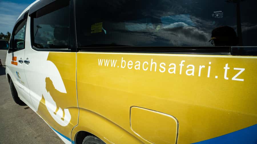 Zanzibar: Nungwi Turtle Aquarium Guided Half-Day Trip - The optional village experience