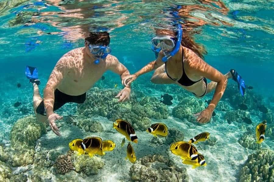 Zanzibar: Prison Island & Nakupenda Sandbank Tour with Lunch - Prison Island and its remarkable tortoises