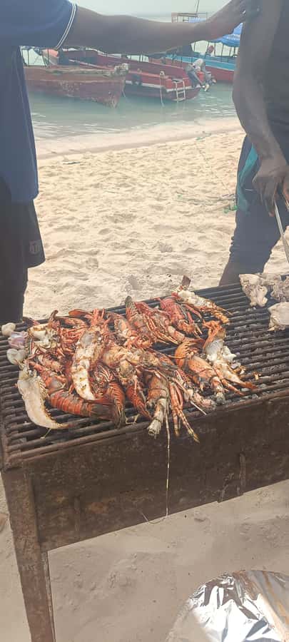 Zanzibar; Prison Island, Nakupenda, StoneTown Tour with BBQ - What snorkeling is really like
