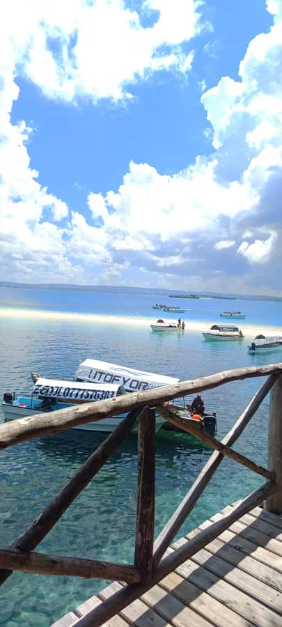 Zanzibar; Prison Island, Nakupenda, StoneTown Tour with BBQ - Group size, guides, and organization