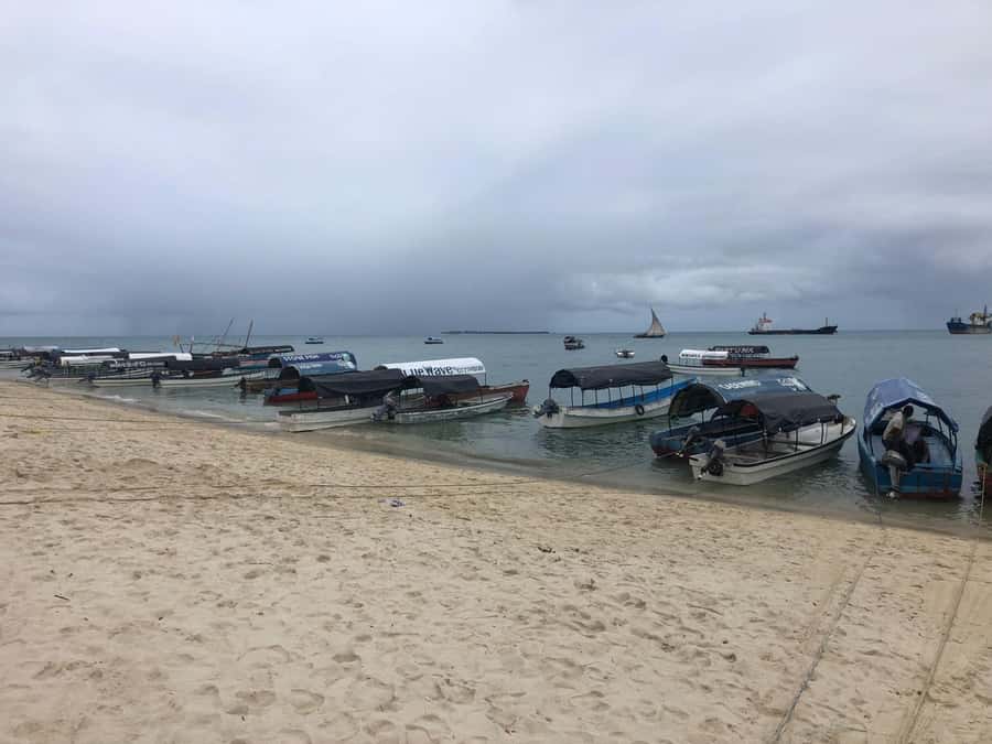 Zanzibar: Prison Island, Stone Town, & Spice Farm Tour - Key points to know before booking