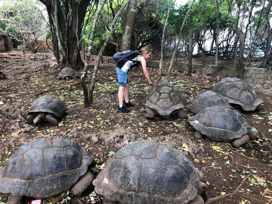 Zanzibar: Prison Island, Stone Town, & Spice Farm Tour - Stone Town, where the walking really matters