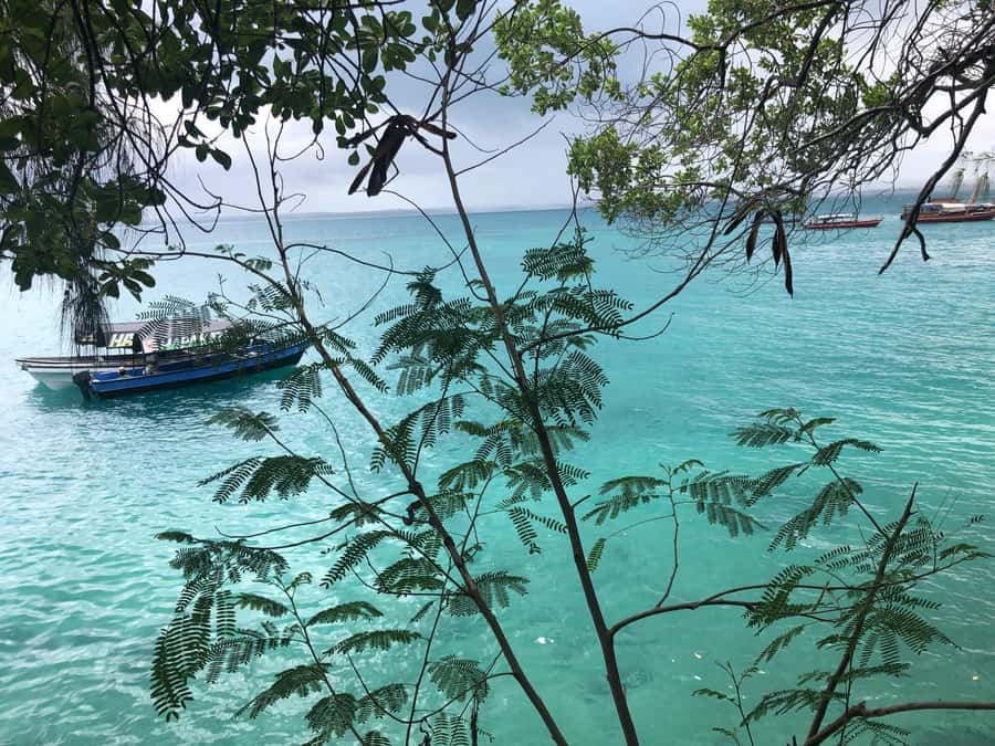 Zanzibar: Prison Island, Stone Town, & Spice Farm Tour - Is $70 a fair price?