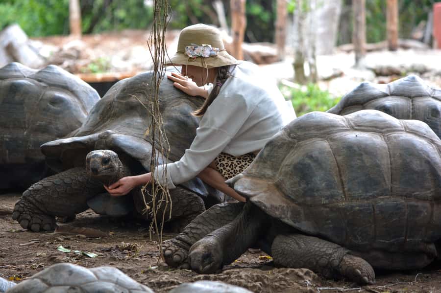 Zanzibar: Prison Island, Tortoise, Jozani Forest Guided Tour - Key points to know before you book