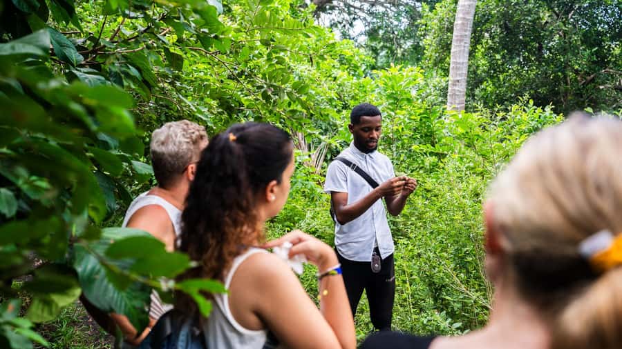 Zanzibar: Prison Island, Tortoise, Jozani Forest Guided Tour - Why this Zanzibar day trip works