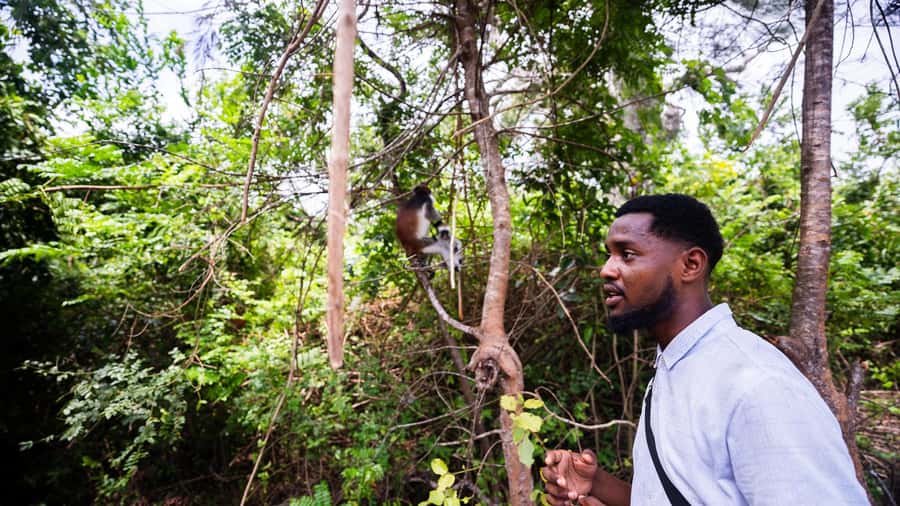 Zanzibar: Prison Island, Tortoise, Jozani Forest Guided Tour - Prison Island history, beach, and tortoises