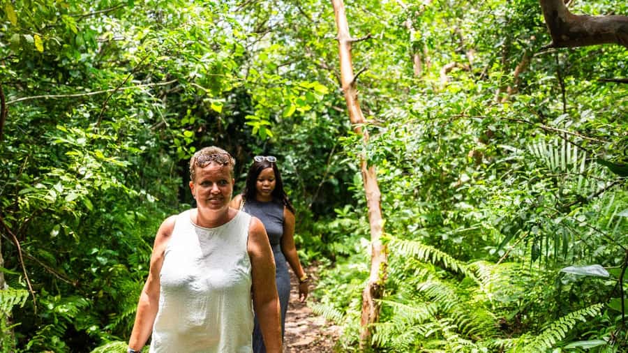 Zanzibar: Prison Island, Tortoise, Jozani Forest Guided Tour - Should you count on snorkeling?