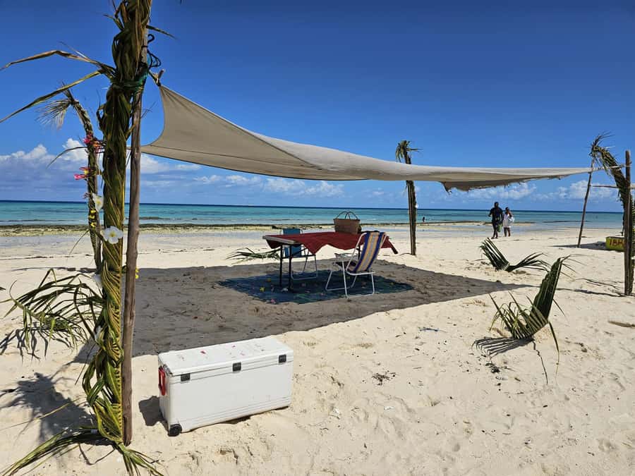Zanzibar: Prison Island Tour with Lunch on the Sandbank - Walking through the old quarantine complex