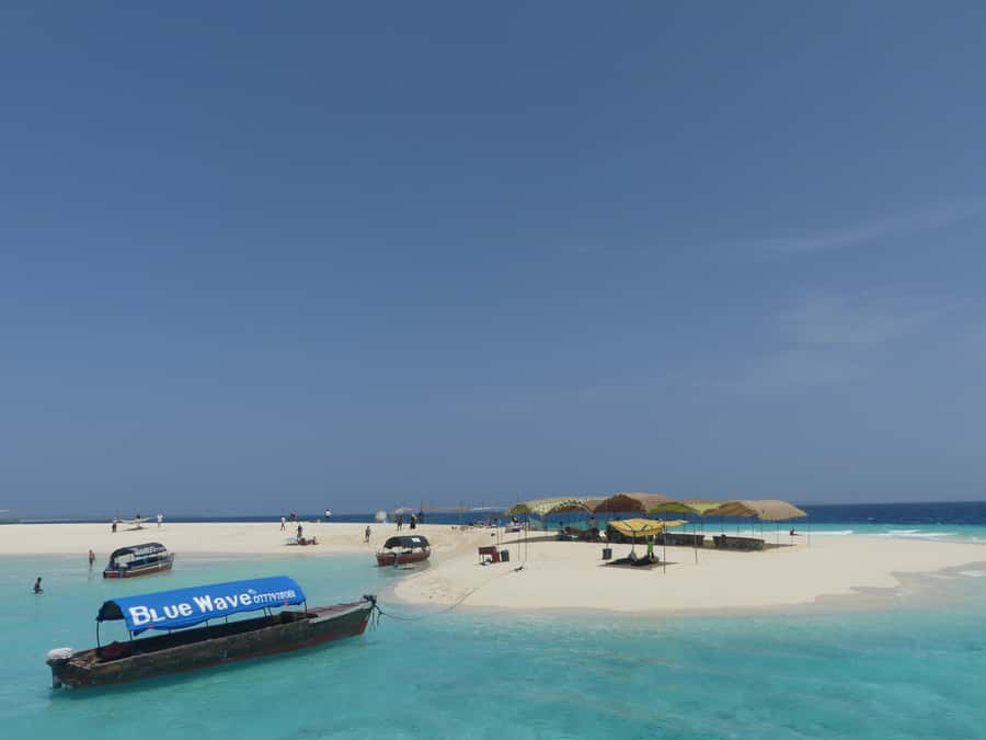 Zanzibar: Prison Island Tour with Lunch on the Sandbank - What to bring and how to prepare