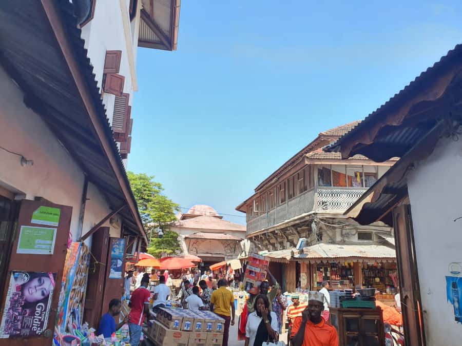Zanzibar: Private walking tour in stone town - Key points to know before booking