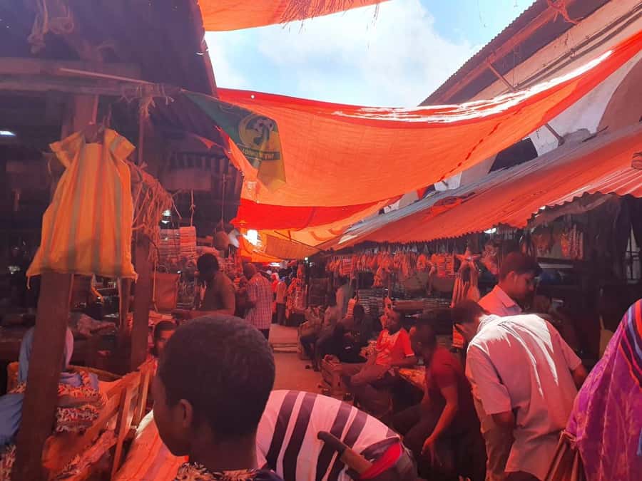 Zanzibar: Private walking tour in stone town - Palace Museum and the Sultan’s world
