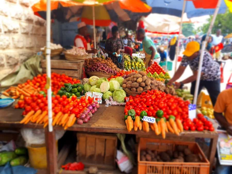 Zanzibar: Private walking tour in stone town - A closer look at the Old Fort and the narrow lanes