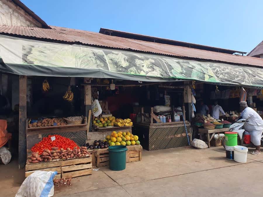 Zanzibar: Private walking tour in stone town - Guide languages and the importance of a clear match
