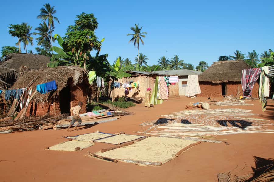 Zanzibar: Quad Bike Adventure Tour to a Local Village - Cinnamon, cloves, and lemongrass in the ground