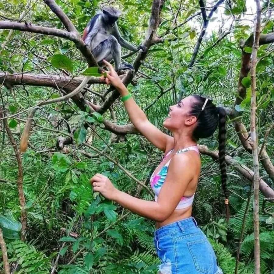 Zanzibar: Red Colobus Monkeys in Jozani Forest Guided Tour - The Trip From Your Hotel to Jozani