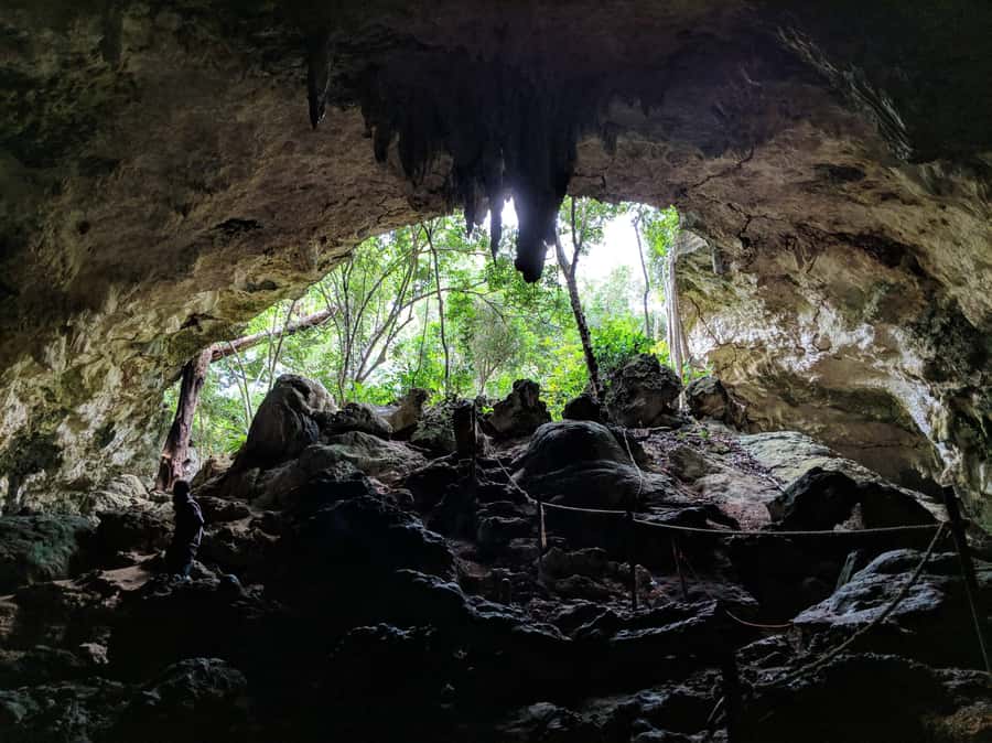 Zanzibar: Rock Restaurant and Cave Tour Visit - What the $100 price really covers