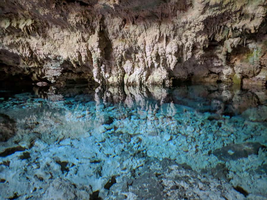 Zanzibar: Rock Restaurant and Cave Tour Visit - The practical limits of the experience