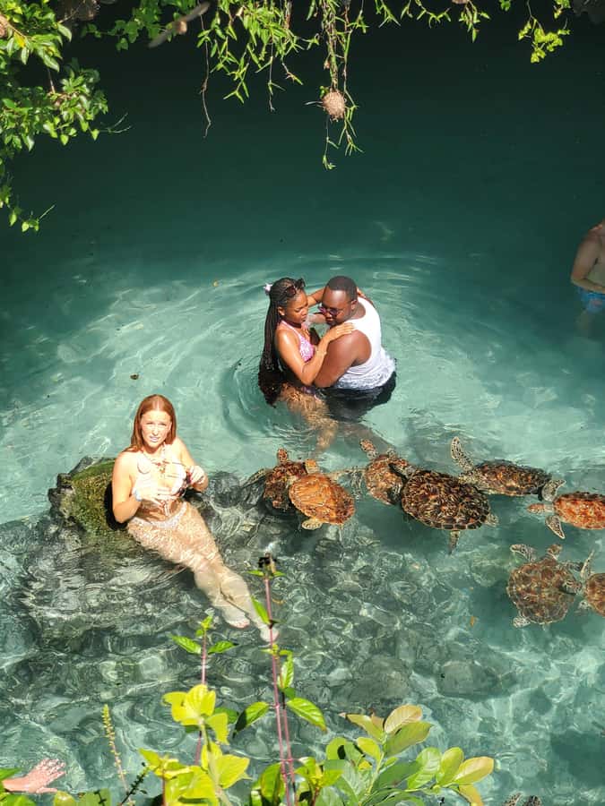Zanzibar: Salaam cave swimming with turtles & Mtende beach - What makes the conservation message useful