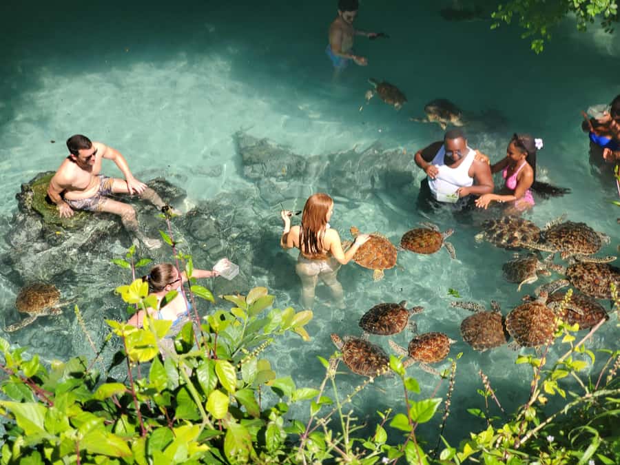 Zanzibar: Salaam cave swimming with turtles & Mtende beach - Is one hour enough at Mtende?