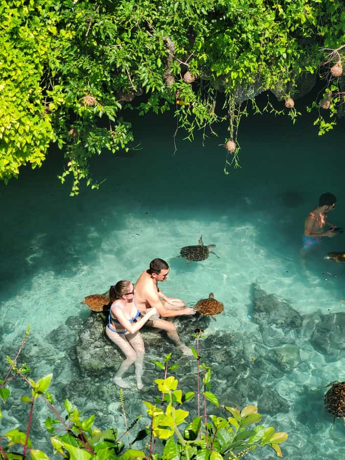 Zanzibar: Salaam cave swimming with turtles & Mtende beach - What to pack for the water and sun