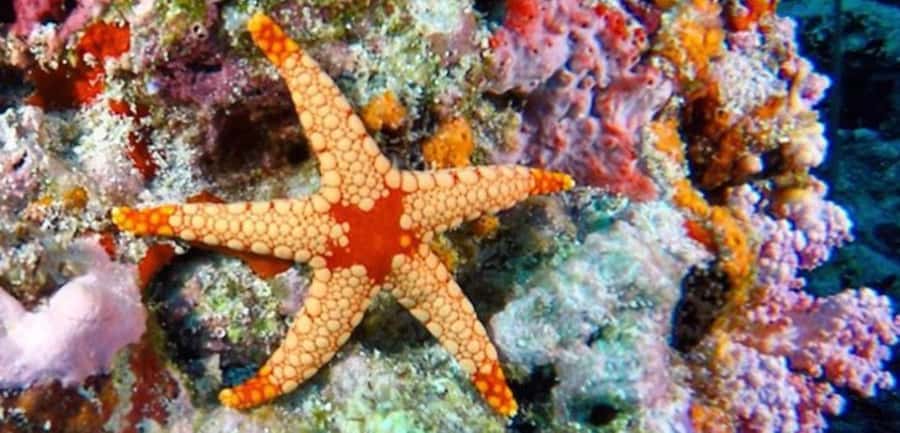 Zanzibar, Salaam Cave Tour, The Rock, Kuza Cave, Paje Beach - What the $150 price really buys you